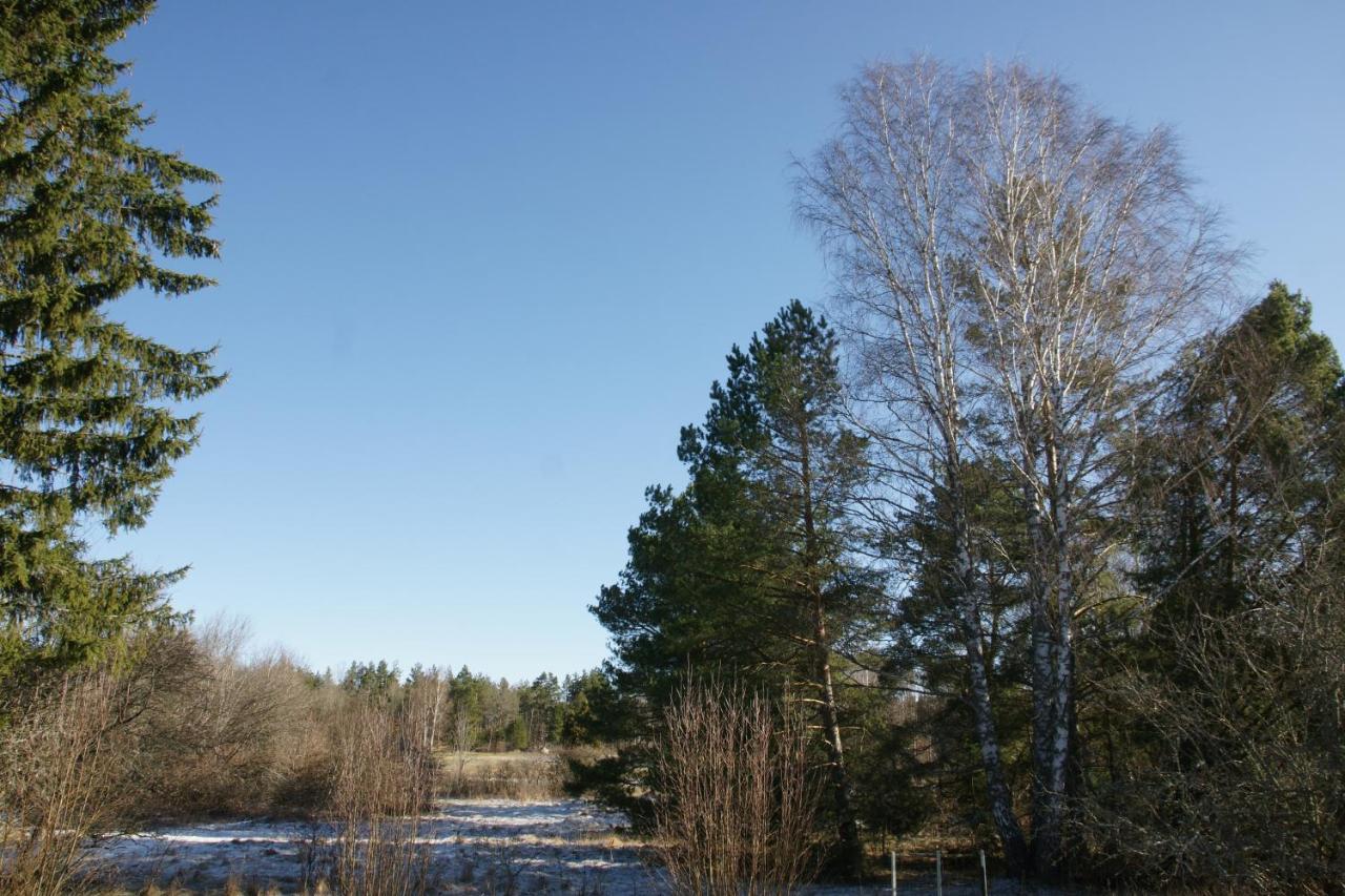 Bjoerkholm - Villa In Målilla Exteriér fotografie